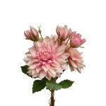 Floare artificiala Bouquet Dahlia, Decoris, 20 x 20 x 44 cm, poliester, roz